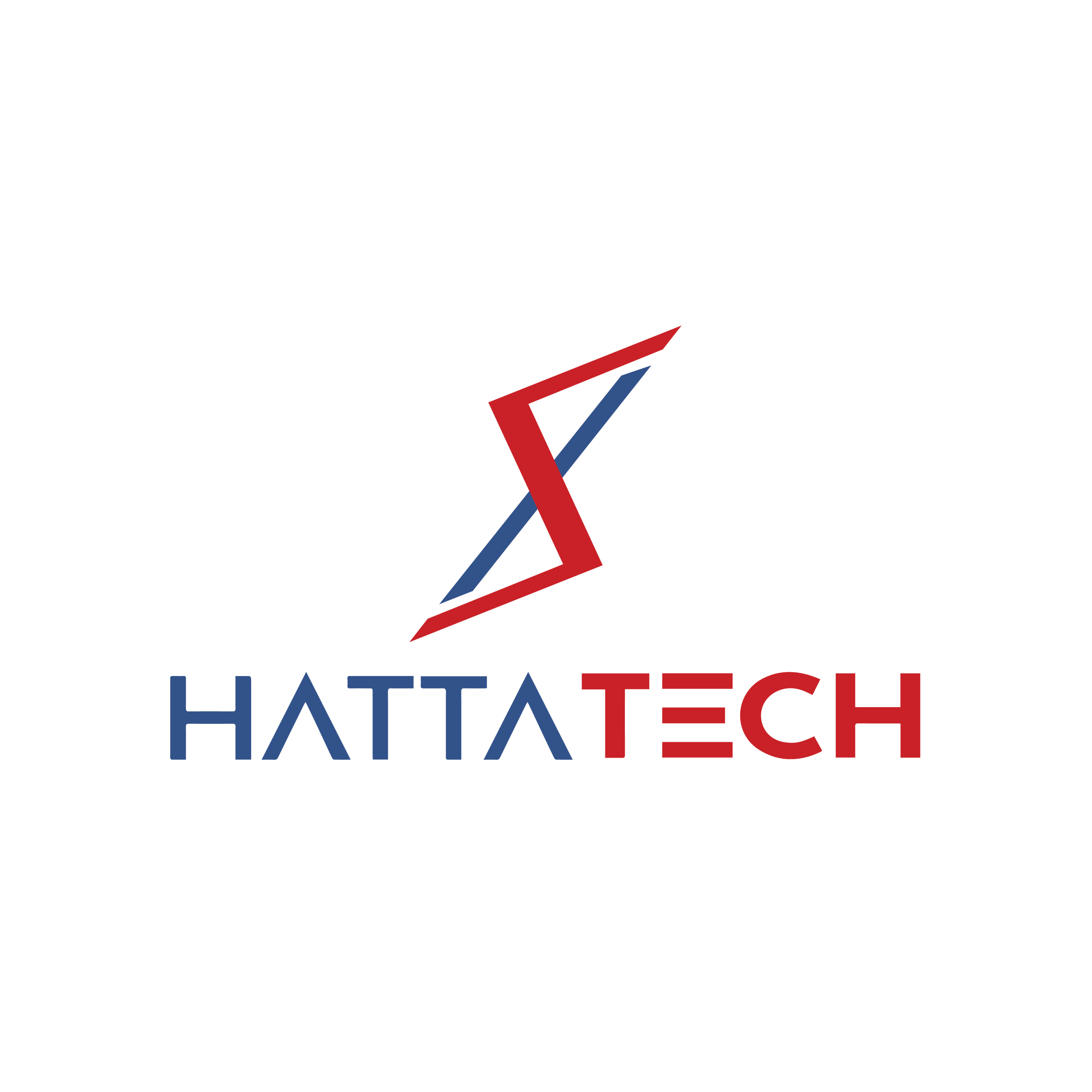 Logo HATTATECH 2 Colors